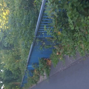 Wächter der Straße 