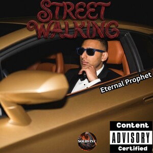 STREET WALKING