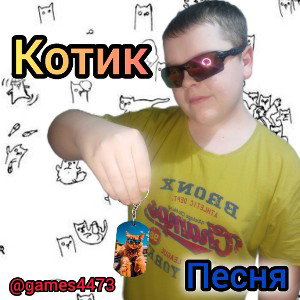 Котик