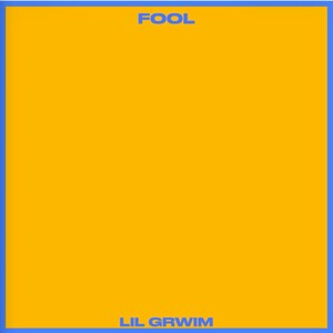 Fool