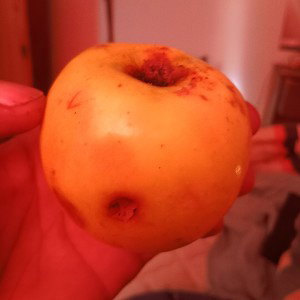 como el pan y la manzana 