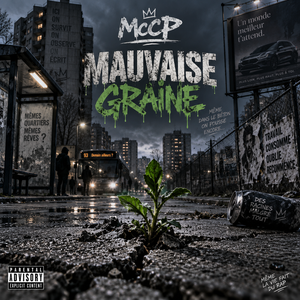 Mauvaise graine