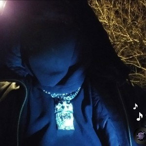 STOP THA MADNESS HATERS, PRODUCED BY VIPERSQUAD TRE DA MOB 