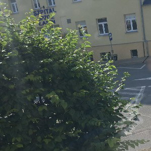 Nie odpuszczam 