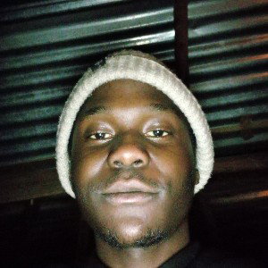 Themko t