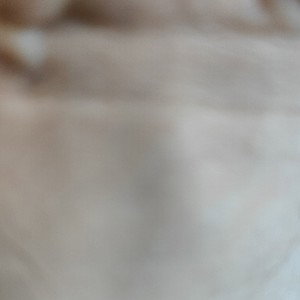 Le texte (punch dans les veines)