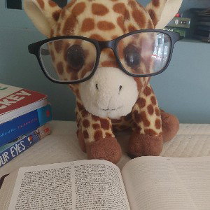 Giraffes Love To Do Math 
