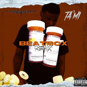 Ta'Mi - beat box freestyle v1