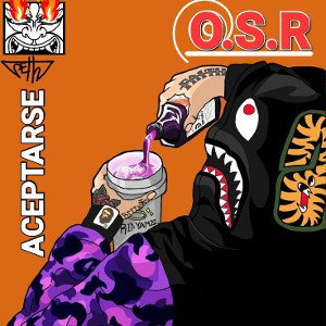Aceptarse ~ O.S.R ~ boom bad rock ~ 🎧