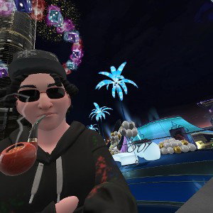 THE VR LIFE