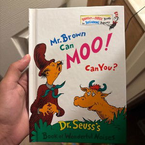 Mr brown can moo can you