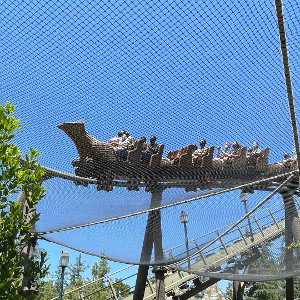 Rollercoaster Love