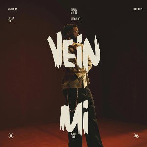 pain vein mi 