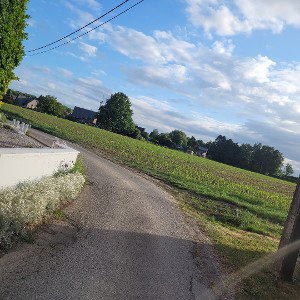l'été