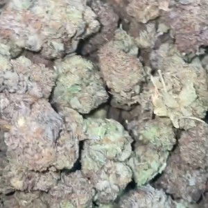 smoking out the pound