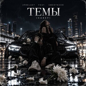 29delaet feat. SweetEcho-Темы