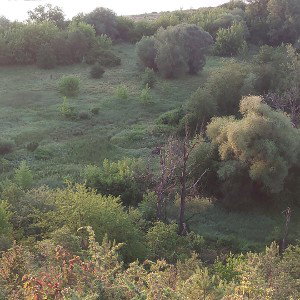 NawetNieWiemOCzym