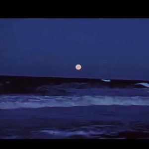 Corazón en cero