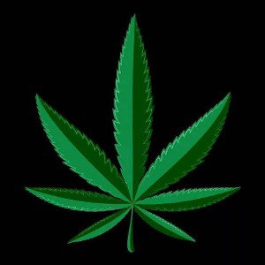 get high 
