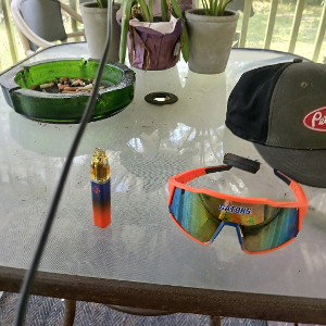go gators 