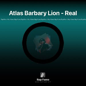 Atlas Barbary Lion - Real