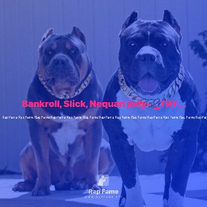 Bankroll, Slick, Nequan jody-  _TRY HARDER_