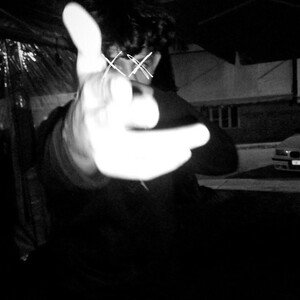 NazD - Diss 