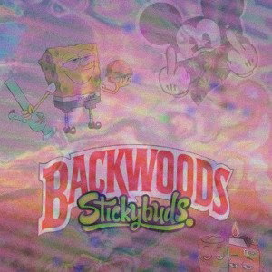 BACKWOODS PLAYX