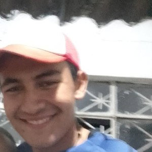HAMPA