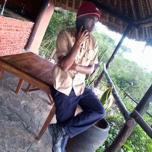 noel free style