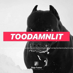 TooDamnLit