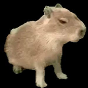 aller vous abonner à lescremeur 