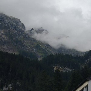 dalica