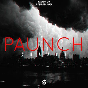 Paunch