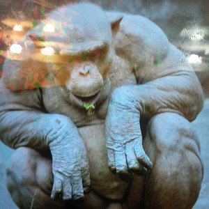 MonkeyMan