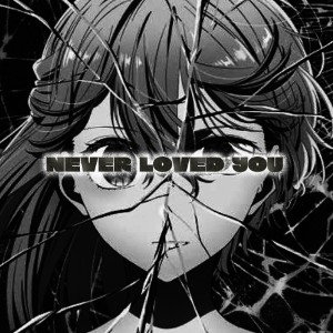 never loved you ft.jax