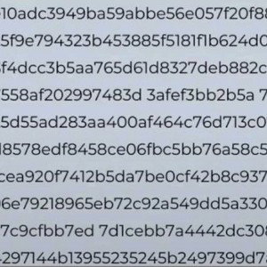life is hacked 