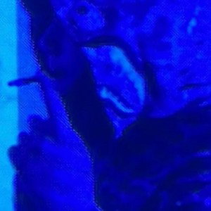 33take “TRYIN GET HIGH” on yt