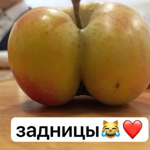 Z🇷🇺🇷🇺🇷🇺🪆🪆🪆🪆🪆🪆