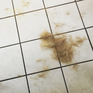 wheres my hair?…
