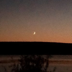Жизнь 
