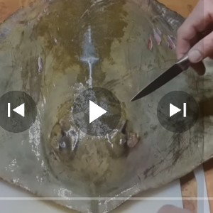 гоночный опель