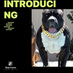 introducing 