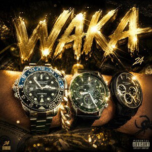 24 - Waka