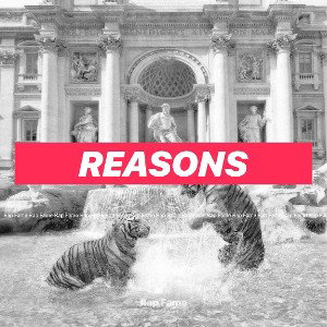 Reasons