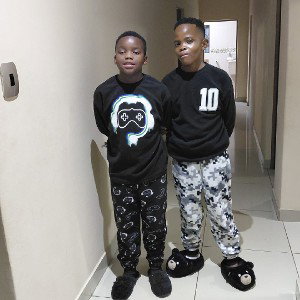 The Two Brothers 
