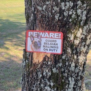 warning signs 