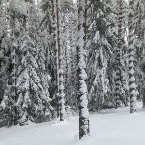 охотник - отрывок трека (демо)