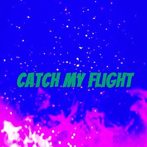 Catch my flight
