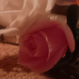 ---